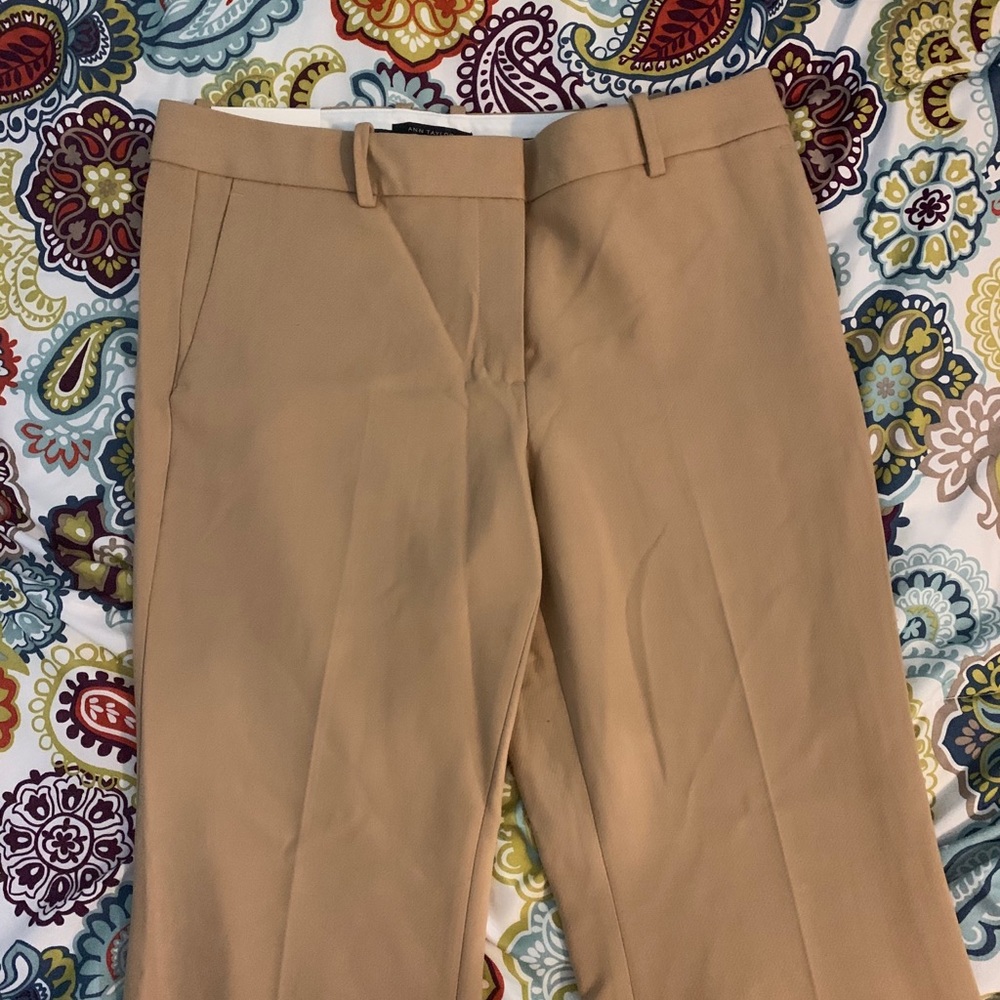 NWT Ann Taylor Madison Flare Trouser